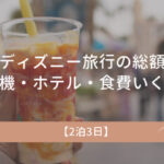 遠方ディズニー旅行の総額公開｜飛行機・ホテル・食費いくらかかった？【2泊3日】